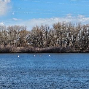 Meet your Posher, Beverly